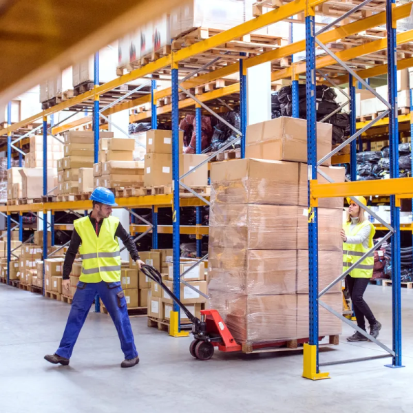 What countries have amazon